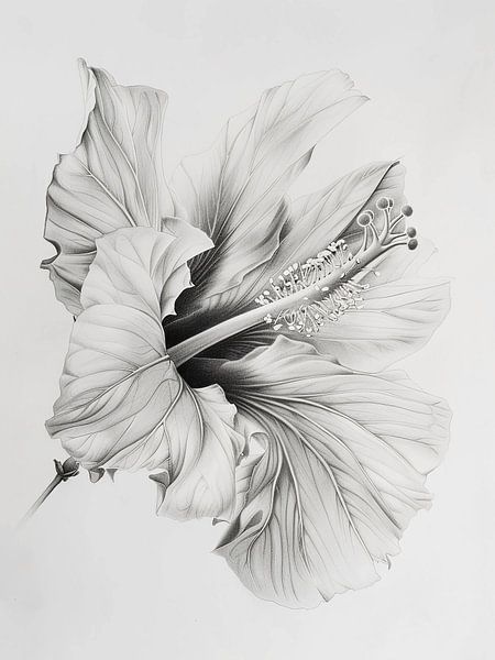 the flower by haroulita
