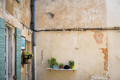Mur patiné par les intempéries, agrémenté de petites plantes, dans le sud de la France