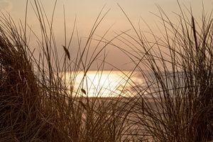 Foto van mooie zonsondergang, gezien vanaf de duinen, ergens langs de Nederlands kust