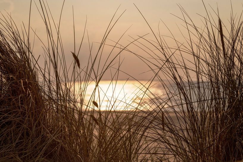 Photo of beautiful sunset, seen from the dunes, somewhere along the Dutch coast by Miranda van Hulst