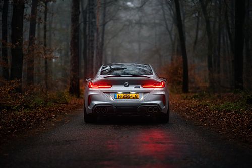 BMW M8 Competition Gran Coupé dans les bois