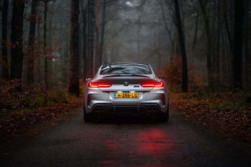 BMW M8 Competition Gran Coupé in the woods by Jarno Lammers