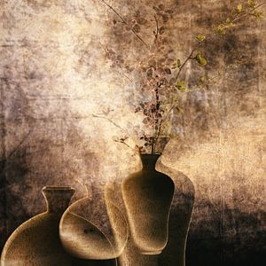Échos silencieux : Là où la beauté ancienne trouve une nouvelle vie