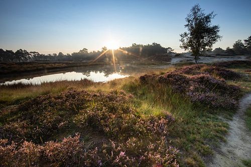 Lever du soleil sur le lac de forêt Heidestein Zeist Driebergen