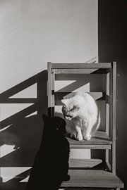 Eenvoudig samen van Images by Saskia - Foto & Film