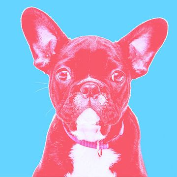 leuke franse bulldog grappige hondenhumor van Poster Art Shop