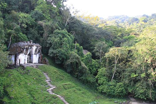 Temple of the Foliated Cross