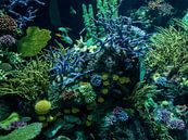 Korallen und Fische im Ozeanium : Zoo Blijdorp von Loek Lobel Miniaturansicht