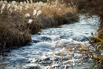 Flowing creek surrounded by wild flora by Imperial Art House