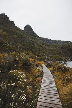 Cradle Mountain: A Symbol of Tasmanian Wilderness by Ken Tempelers