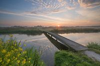 Zweth Vlaardingen at sunrise