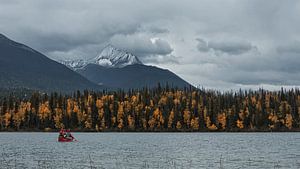 Canoë en automne sur les lacs Bowron