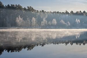 Zonsopkomst aan het water met berijpte bomen