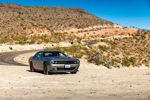 Dodge Challenger sur la route américaine 66 - Oatman - Kingman