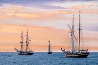 Sailing ships on the Hanse Sail