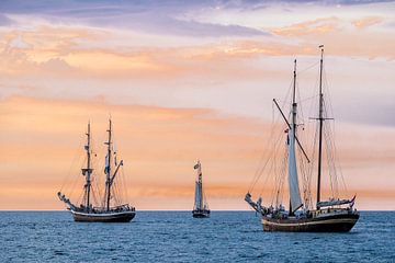 Sailing ships on the Hanse Sail van Rico Ködder