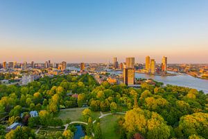 Rotterdam Skyline 