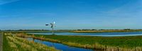 Waterrijk panorama met authentieke windmolen in de Eilandspolder van Photo Henk van Dijk thumbnail