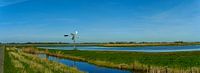Waterrijk panorama met authentieke windmolen in de Eilandspolder