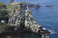 Klippen der Insel Rathlin in Nordirland von Babetts Bildergalerie Miniaturansicht