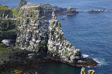 Kliffen van het eiland Rathlin in Noord-Ierland