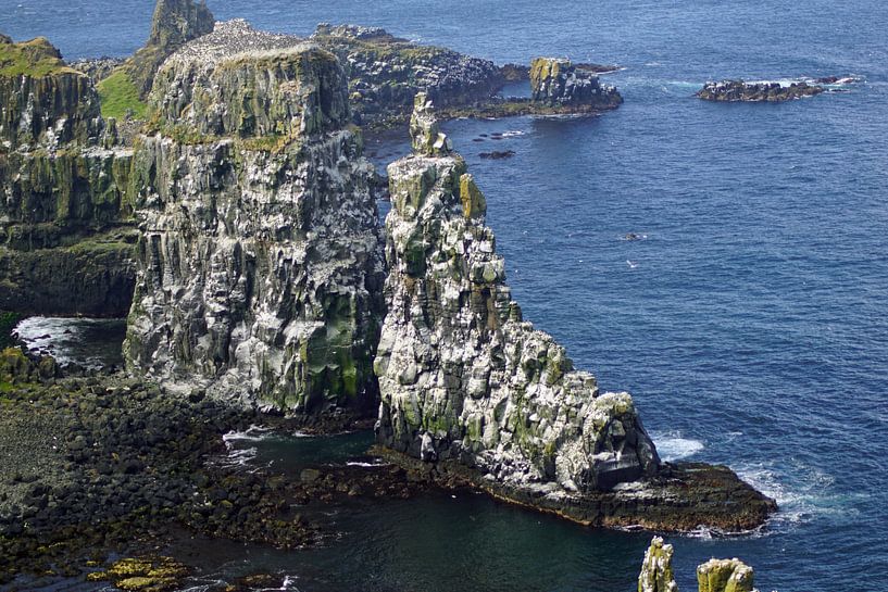 Klippen der Insel Rathlin in Nordirland von Babetts Bildergalerie