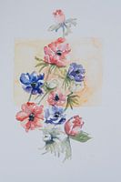 Anemonen