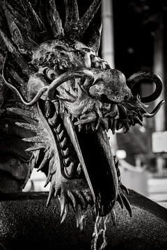 Dragon's breath in black and white by Marco Leeggangers