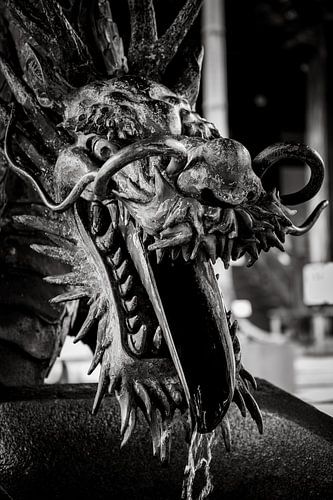 Souffle de dragon en noir et blanc