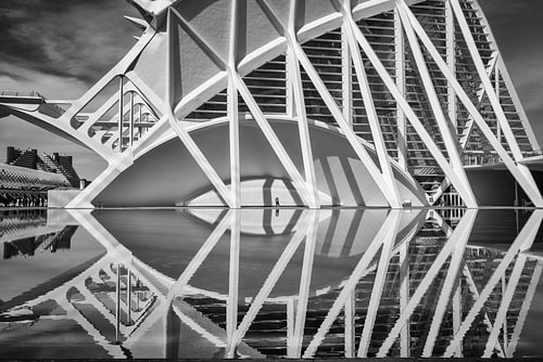 Details of the Museo de las Ciencias Principe Felipe - Valencia