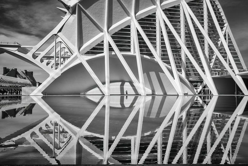 Details of the Museo de las Ciencias Principe Felipe - Valencia by Paysages urbains - Rick Van der Poorten Photography
