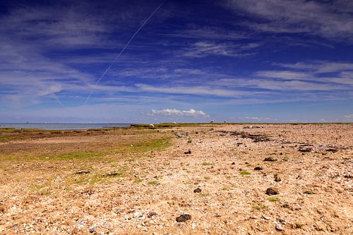 Waddenzee bij Wierum