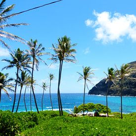 Beautiful Hawaii by Janina Ballali