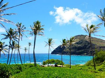 Beautiful Hawaii van Janina Ballali