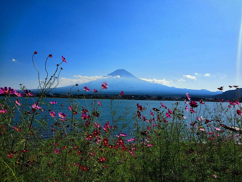 Mount Fuji by Hello Pompoyo