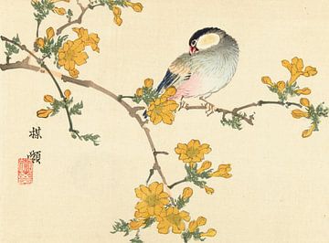 Zangvogel op bloeiende tak, Kôno Bairei, 1893
