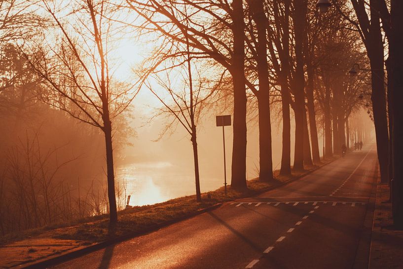 Mistige ochtend op de Westbroekweg in Den Haag van Anne Zwagers