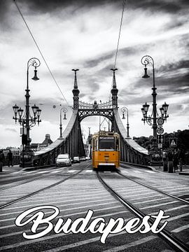 Budapest - Freiheitsbrücke mit historischer Straßenbahn von Carina Buchspies