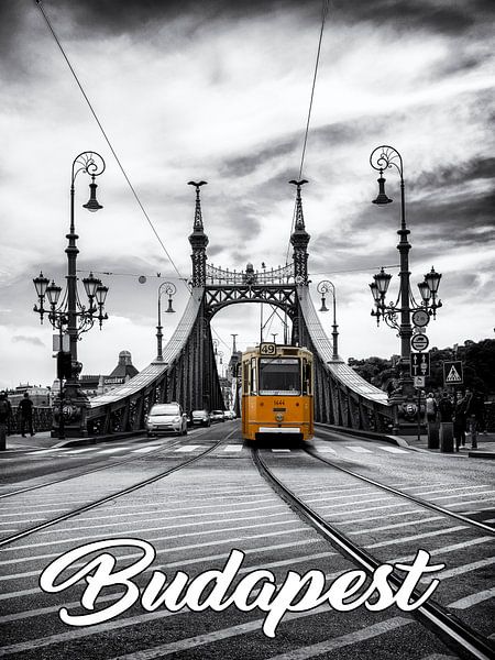 Budapest - Pont de la Liberté avec le tram historique par Carina Buchspies