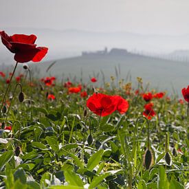 Toscane sur Bendiks Westerink