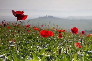 Toscane van Bendiks Westerink