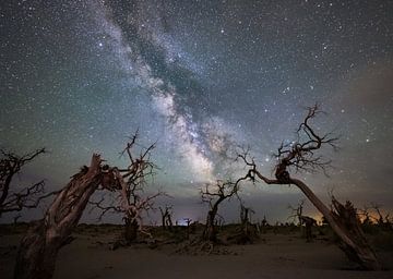 Galaxy over a dead forest by Yuhan Liao