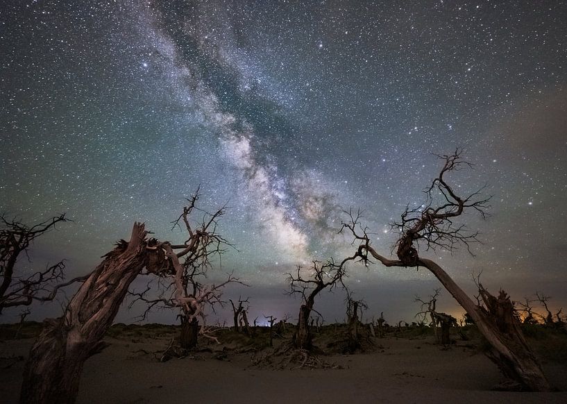 Galaxie sur une forêt morte par Yuhan Liao