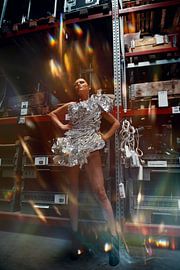 Fire.Metal.Power.Reflection by Vitaliy Zalishchyker