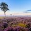 Strabrechtse Heide