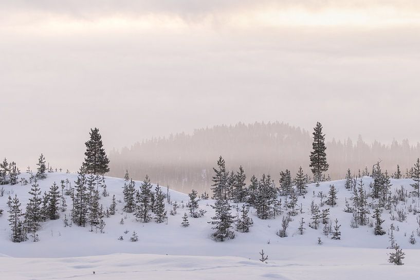 Mooi zacht licht in een perfect winters landschap van Monique van Genderen (in2pictures.nl fotografie)
