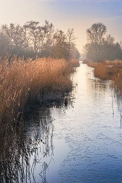 A quiet and warm winter landscape