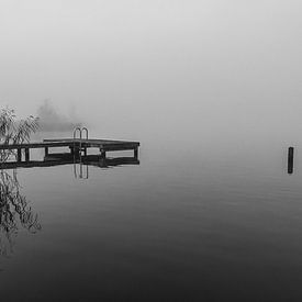 Fog at the Wijde Aa by Paul Veen