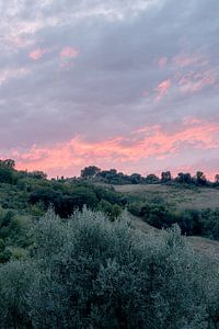 Coucher de soleil en Toscane | Tirage photo olivier paysage | Italie photographie de voyage