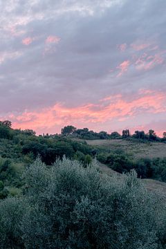Coucher de soleil en Toscane | Tirage photo olivier paysage | Italie photographie de voyage sur HelloHappylife